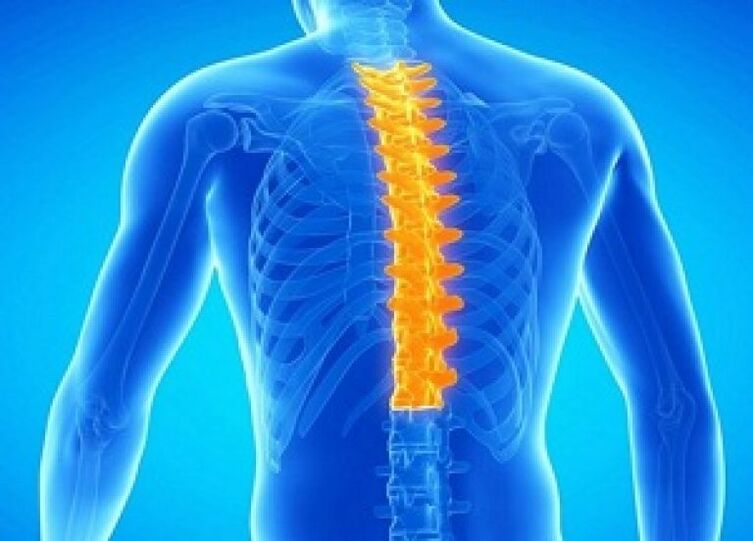 Osteohondroza torakalne hrbtenice